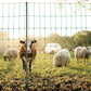 VEVOR Electric Fence Netting, 50" H x 164' L, Livestock Net Fencing with Posts & Stakes, Portable Mesh Nets for Goats, Sheep, Deer, Hogs, Dogs, Electric Fencing for Backyards, Gardens, Farms, Ranches