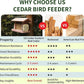 Solution4Patio US Cedar Hopper Bird Feeder for Outdoors Hanging, Handcrafted Wood Double Suet Cage & Clear View Windows, Squirrel-Proof Wild Bird Feeder for Cardinals, Finches, Chickadees