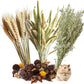 Natural Ear of Grain Flower&Herb Bedding Mate Habitat Decor, Adding Fun Hamster Accessories for Hamsters Gerbils Lemming