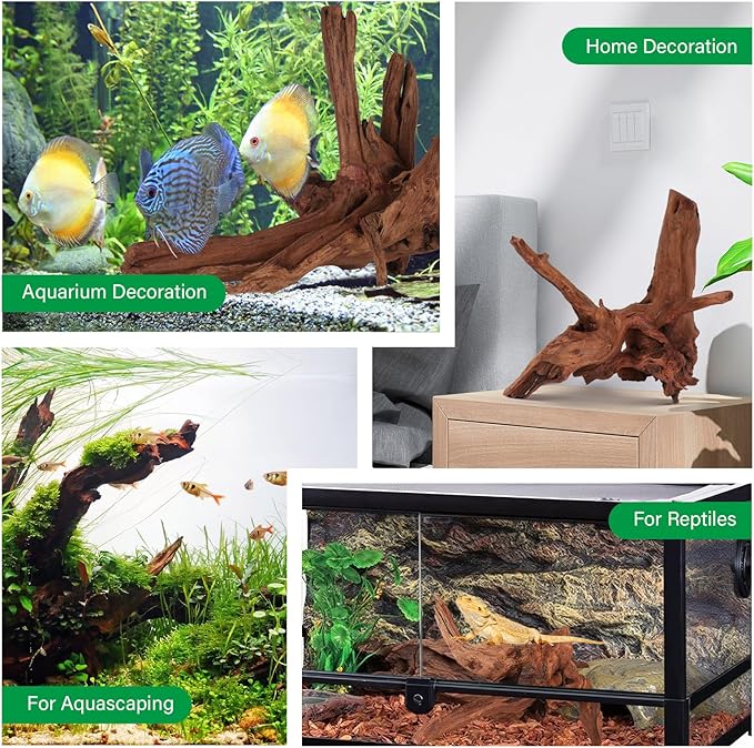 Driftwood for Aquarium Natural Aquarium Wood for Aquascaping Fish Tank Decorations Reptile Tank Decor (Natural Driftwood 9-14" (Pack of 2))