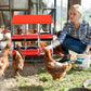 Nesting Boxes for Chickens, Chickens Laying Boxes for Chicken Coop with Legs, 6 Compartments Chicken Nesting Boxes, with Removable Tray, Easy Cleaning, for Hens Outdoor Chicken Coop Farm Yard, Red