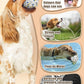 2.36'' Dog Balls for Dogs Aggressive Chewers Indestructible Tennis Durable Bouncy Interactive Dog Toy Balls for Fetch Game Floating Training(White Medium)