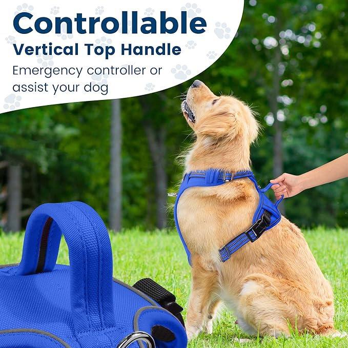 Funfox Dog Harness No Pull, Adjustable Pet Vest Harness, Super Soft Material with Vertical Handle Easy Control, Reflective Night Walking, 2 Leash Clips for Small Sized Dogs, Blue, S