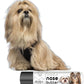 The Blissful Dog Lhasa Apso Unscented Nose Butter - Dog Nose Butter, 0.15 Ounce