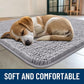Smiry Dog Door Mat for Muddy Paws 47x24, Absorbs Moisture and Dirt Doormat, Non-Slip Washable Quick Dry Chenille Front Door Mat Indoor Entrance, Entryway Carpet for Inside Floor, Light Grey