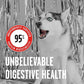 BIXBI Rawbble Freeze Dried Dog Food, Beef Recipe, 12 oz - 98% Meat and Organs, No Fillers - Pantry-Friendly Raw Dog Food for Meal, Treat or Food Topper - USA Made in Small Batches