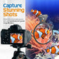FL!PPER Flipper DeepSee Viewer MAX 5" Black - Coral and Fish Magnifier for Reef Tank and Freshwater Aquarium Photography and Videography - Magnetic Magnifying Glass