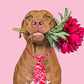 PET SHOW 10 Pack Holiday Big Dog Ties Neckties for Large Breed Dogs XL Adjustable Grooming Accessories Neck Ties Bowties Girl Boy Pets Festival Costumes Wedding Party Gift Favor