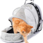 Lollimeow Cat Carrier Backpack, Bubble Expandable Backpack Carrier, Pets and Small Dogs,Airline-Approved, Designed for Travel, Hiking, Walking & Outdoor Use (Back Expandable-Black)
