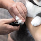 Tweezerman Small Nail Clippers for Dogs & Cats, Manual Professional Dog & Cat Nail Trimmer with Ergonomic Handle