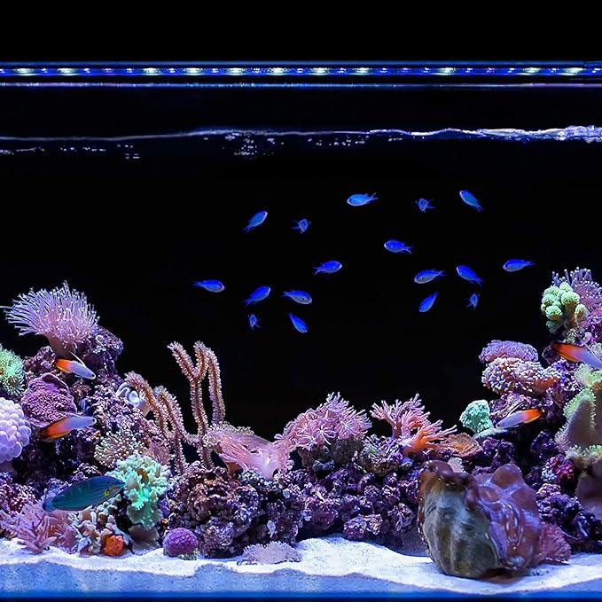 CURRENT USA 36-48" Inch Orbit Marine IC Loop LED Saltwater Reef Marine Aquarium Light with Bluetooth App Control | Wireless Lighting & eFlux Wave Pump Control for Fish Tank (4206)