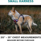 Embark Adventure Dog Harness, Reflective Trim No Pull Dog Harnesses for Small Sized Dogs - Military Grade Nylon, Front Clip with Gel Lined Handle. Soft & Padded Puppy