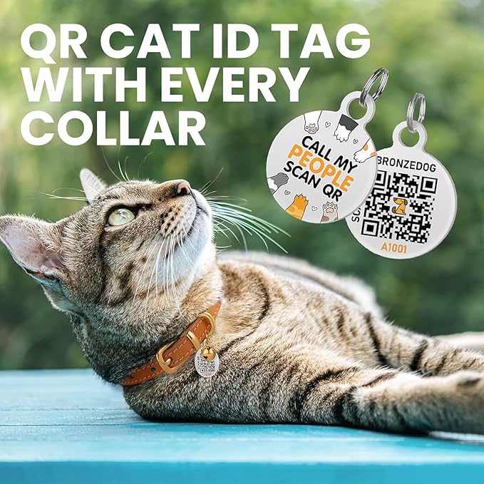 BRONZEDOG Leather Cat Collar with Removable Bells Non Breakaway Kitten QR Tag for Girl Boy (Pink & Silver, 9-12 inch)