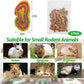 Fhiny Rabbit Chew Toys Mixed Forage Beetroot Carrot and Pumpkin Bunny Treats for Hamsters Guinea Pigs Chinchillas and Other Small Rodents Teeth Grinding (0.29lb/130g)