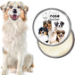 The Blissful Dog Australian Shepherd Nose Butter for Dry, Cracked Skin, Lick-Safe Dog Nose Balm with Moisturizing Shea Butter, Almond, Olive, and Essential Oils, Pet Supplies, Uncented, 8 oz.