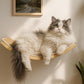 Curved Cat Wall Hammock with Scratchable Sisal Pad, Large Floating Cat Shelf for Wall, Wall Mounted Beige Bed for Playing, Climbing, and Sleeping