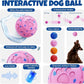 Dog Balls: Interactive Dog Ball Auto Rolling - Interactive Dog Toys for Aggressive Chewers - Bouncy & Throwable, Type-C Rechargeable, Washable, for Small & Medium & Large Dogs – Pink