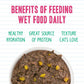 Weruva BFF Minced Natural Wet Cat Food, Tuna and Pumpkin Valentine in Gravy, 10oz Can, Pack of 12