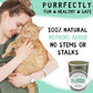 from The Field | Fine Ground Stalkless Catnip | Premium USA-Grown Catnip for Toys & Playtime | Fresh, Potent, Non-Toxic, Eco-Friendly | Safe for Kittens & Cats | Resealable 3.5 oz Tub