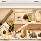 Prolee Hamster Cage Chew Proof, Mice and Rat Habitat Openable Top with Acrylic Sheets, Hamster Habitat Solid Built (24”L x 16" W x 16" H)