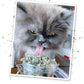 Meowijuana | Dried Catnip Buds Jar | Premium Organic Catnip | Grown in North America | Perfect for Cat Toys | Fresh Catnip for Extended Playtime | Elevate Your Cat's Enjoyment