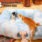XxingSheep 4 Cave Shuttled XL Cat Tunnel Bed for Indoor Cats Peekaboo Toy Donut with Warm Mat, Azure Blue