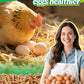 Mealworms Chicken Treats 3 Lbs with Handle Packing, High-Protein Promote Egg Production, Natural Chicken Feed for Laying Hens Wild Birds Ducks
