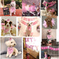 Dog Birthday Party Supplies, Pink Dog Birthday Decorations, Lets Pawty Balloons Banner Hat Bandana Tutu Skirt Outfit for Small Medium Dogs