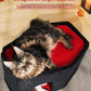 Gothic Cat Condo Cave for Indoor Cats, Spacious Indoor Coffin Cat House Bed,Large 20x13.5inch Bunk Perch, Stable Cubbie for Pets Rabbits, Halloween Red Black