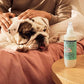 MRS. MEYER'S Clean Day Dog Deodorizing Spray, Sweet Chamomile Scent, 8oz