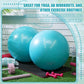 Leyndo 4 Pcs 26 Inch Yoga Exercise Ball Pilates Pregnancy Birthing Fitness Ball with Quick Pump Anti Burst for Improved Posture, Balance, Yoga, Pilates, Training