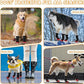Dog Shoes for Medium Large Size Dogs, Breathable Dog Shoe for Hot Pavement, Dog Booties and Paw Protectors to Prevent Licking, Anti-Slip Dog Boots with Reflective for Summer, Hiking, Snow (Size 1)