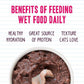 Weruva Best Feline Friend (B.F.F.) Tuna & Tilapia Twosome with Tuna & Tilapia in Gelée Cat Food, 5.5oz Can (Pack of 24)
