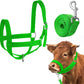 Hillban Cow Halter Cattle Halters Adjustable Calf Halter with Leading Rope for Miniature Horse Donkey Goat Foal Nylon Cattle Training Supplies