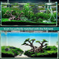 Novelsite Fish Tank Decorations - Large Bonsai Trees with Faux Moss- Aquarium Rocks Aquascaping- Made of Sandstone 17" x 8.6" x 5" Enhance Aquatic Landscape with Realistic Natural Look