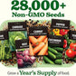 HOME GROWN 𝗨𝗦𝗔 𝗣𝗥𝗘𝗠𝗜𝗨𝗠 55 Vegetable Seeds Pack 28,000+ Non-GMO Heirloom Seeds for Planting, Spring Fall Winter Garden Kit, Survival Seed Vault for Preppers & Gardeners, Gift for Men & Women