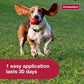 K9 Advantix II Medium Dog Vet-Recommended Flea, Tick & Mosquito Treatment & Prevention | Dogs 11-20 lbs. | 4-Mo Supply