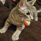 10-Pack Colorful Cat Toy Balls with Bells for Indoor Cats and Kittens (1.5'' - 2.3'', Cat Toys Mega Set)