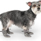 Canada Pooch Dog Boots for Hot Pavement - Dog Boots & Paw Protectors with Anti Slip Rubber | Water Friendly, Breathable Dog Shoes for Hot Days, Great for Dogs Grey - Size 1