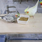 15.7×10.4 Inches Large Bird Perch Stand Platform, Natural Wooden Small Animals Cage Accessories, Rectangle Stand Perch Shelf for Parrot Parakeet Cockatiel Rat Hamster Guinea Pig Conure Chinchillas