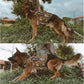 OneTigris No Pull Tactical Dog Harness for Medium Dogs, Aire Mesh Dog Vest Harness, Breathable Military Dog Molle Vests with Handles, Service Dogs Vest for Walking Hiking Training (L, Brown)