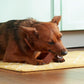 Nutrish Rachael Ray Soup Bones Dog Treats, Beef & Barley Flavor, 6 Bones (Pack of 2)