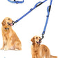 PetBonus Double Dog Leash, No Tangle Dual Leash, Reflective Walking Training Lead, 4 Comfortable Padded Handles for 2 Dogs with Collapsible Bowl and Waste Bags (Blue, Large)