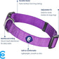 Blueberry Pet Essentials X-Small Dog Collar in Dark Orchid | Adjustable & Eco-Friendly Durable Nylon Strap | Classic Collar for X-Small Dogs, Boy & Girl Pets
