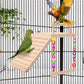 Kyouki Bird Perch Bird Cage Accessories Platform Swing - for Parrot,Parakeet,Budgies, Cockatiels, Lovebirds, Pacific Parrotlets,Chinchilla, Hamster - Sturdy Play Gym Exercise Stand