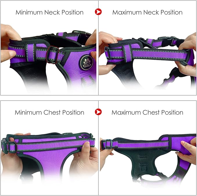 NESTROAD No Pull Dog Harness,Adjustable Oxford Dog Vest Harness with Leash,Reflective No-Choke Pet Harness with Easy Control Soft Handle for Small Medium Dogs(Medium,Purple)