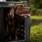 Dakota 283 Crate - Canine Rough and Tough Economy Kennel (Orange, Intermediate)