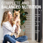 K9 Natural Wet Dog Food Pate, Hoki & Beef Feast, 13 Oz Cans (Pack of 12), Grain Free, Made in New Zealand with Sustainably Caught Hoki Fish and Grass-Fed and Finished Beef