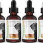RestoraPet 4-Pack Dog & Cat Beef Liquid Multivitamin | Dog Arthritis Pain Relief | Hip & Joint Vitamins for Dogs - Anti Inflammatory Supplement for Dogs & Cats | Organic & Non-GMO, Vet Approved
