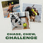 Benebone 3-Pack Ball/Bone Medium/Pawbler